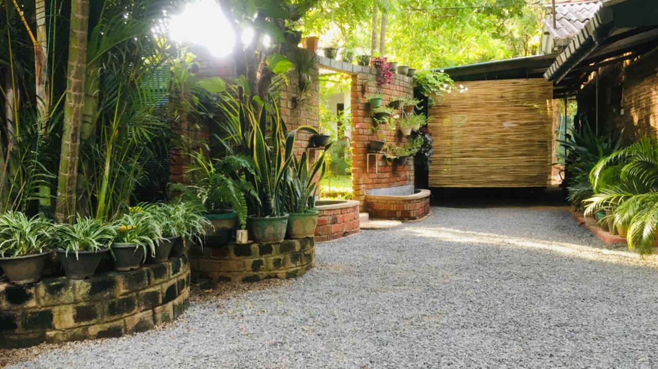 Mowgli Cottage Sigiriya Exterior photo