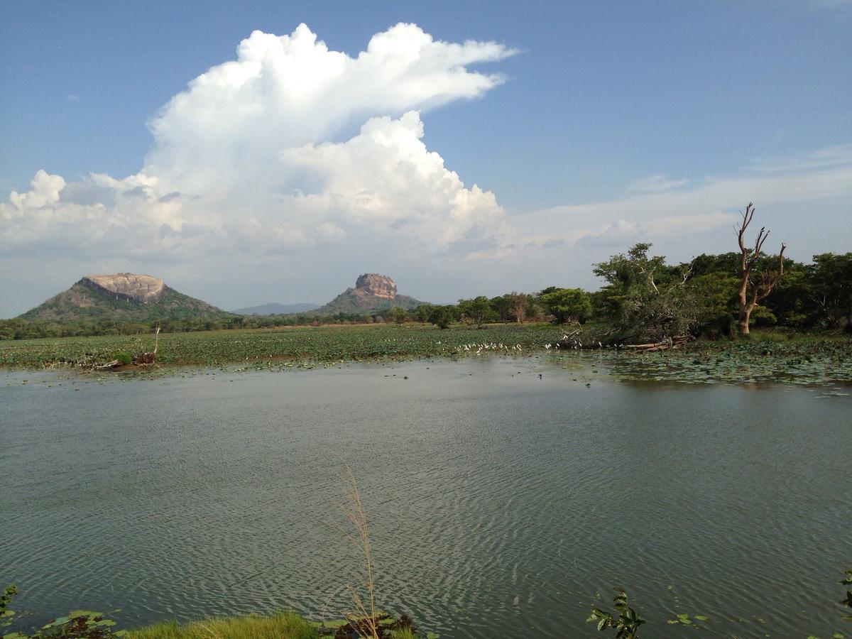 Mowgli Cottage Sigiriya Exterior photo